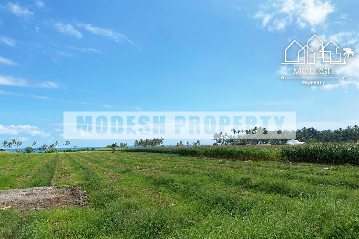 Land,Freehold Sale,1347