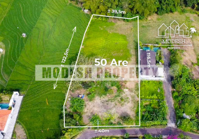 Land,Freehold Sale,1348