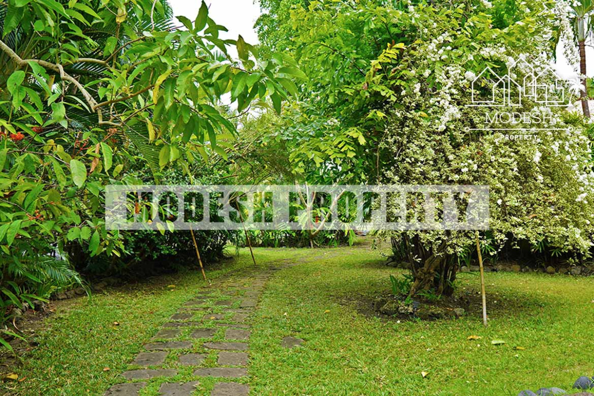 2 Bedrooms Bedrooms, ,2 BathroomsBathrooms,Villa,Yearly Rent,1349