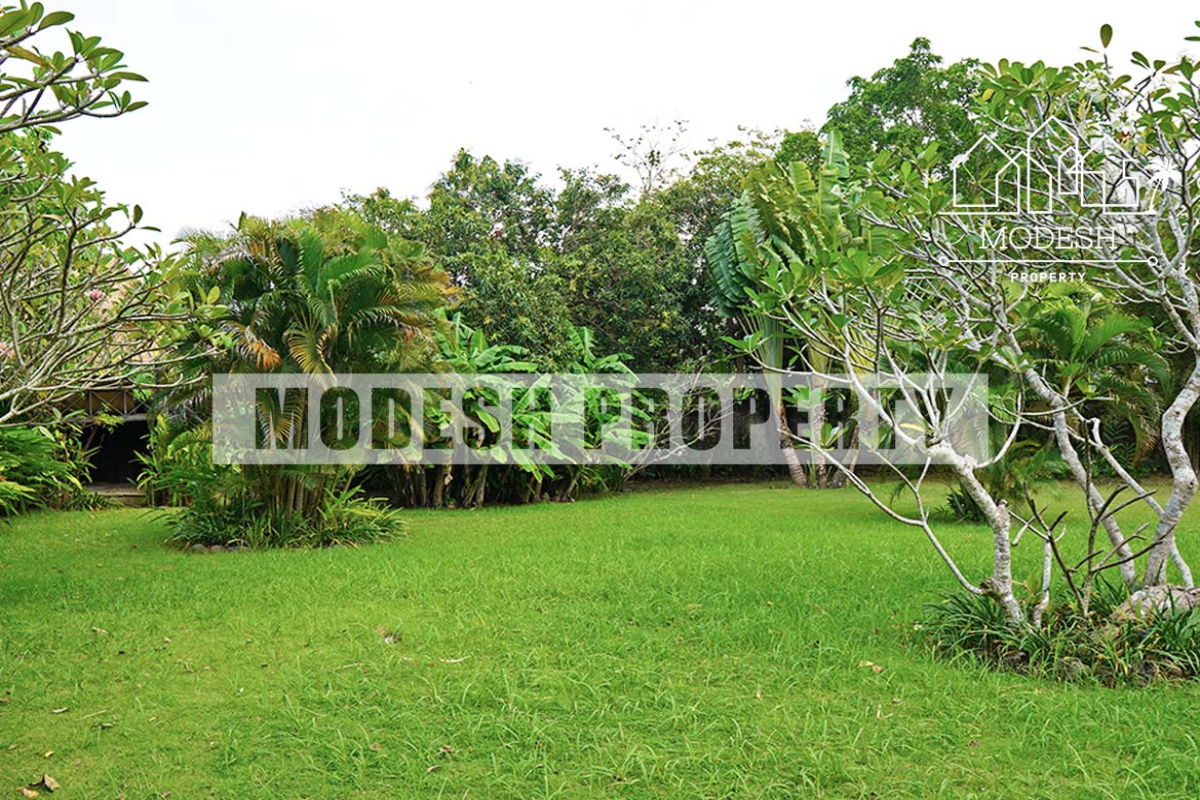 2 Bedrooms Bedrooms, ,2 BathroomsBathrooms,Villa,Yearly Rent,1349