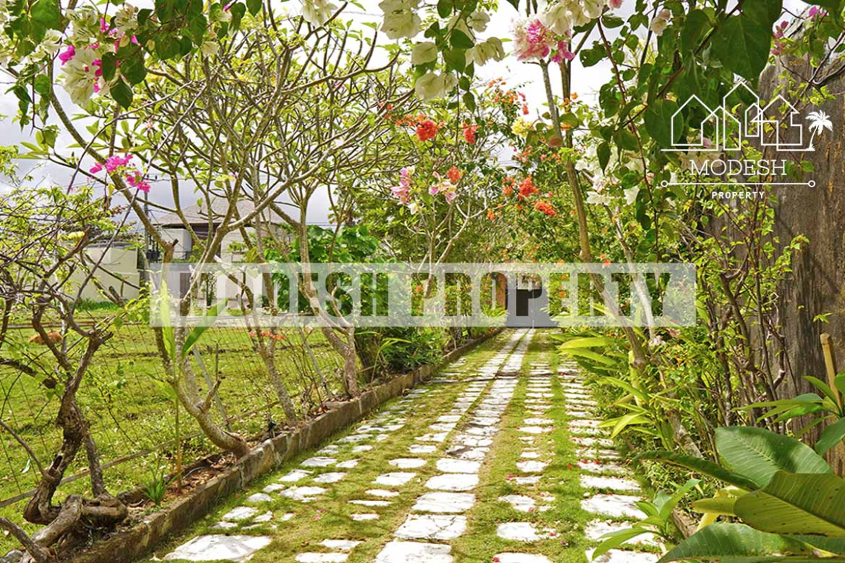 2 Bedrooms Bedrooms, ,2 BathroomsBathrooms,Villa,Yearly Rent,1349