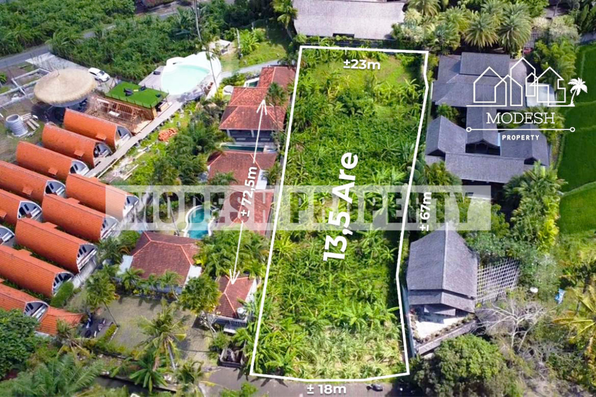 Land,Freehold Sale,1350