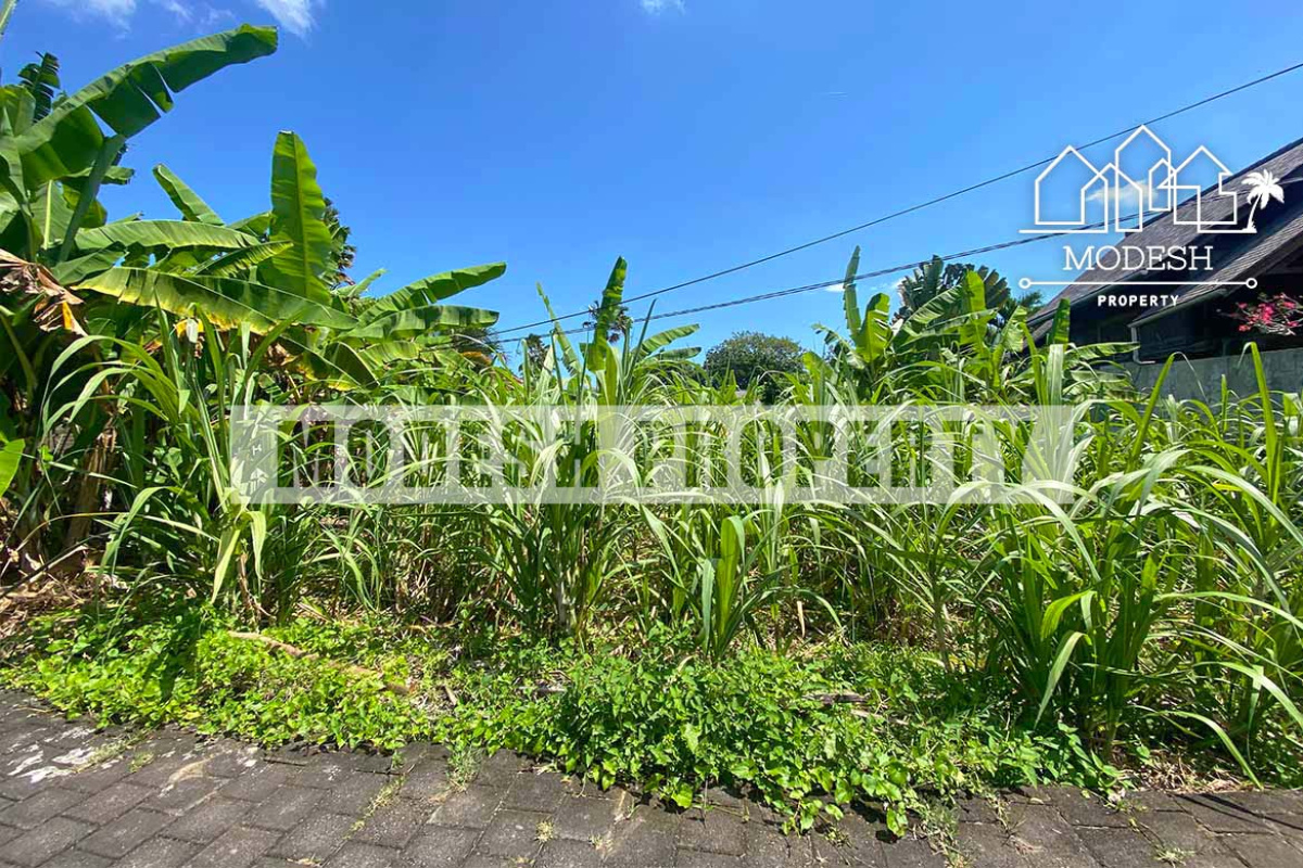 Land,Freehold Sale,1350