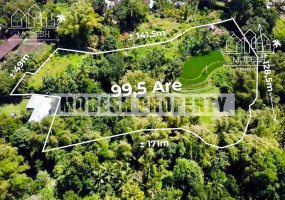 Land,Freehold Sale,1352