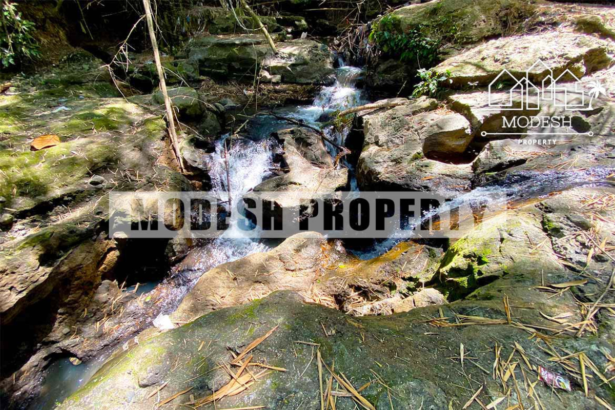 Land,Freehold Sale,1352