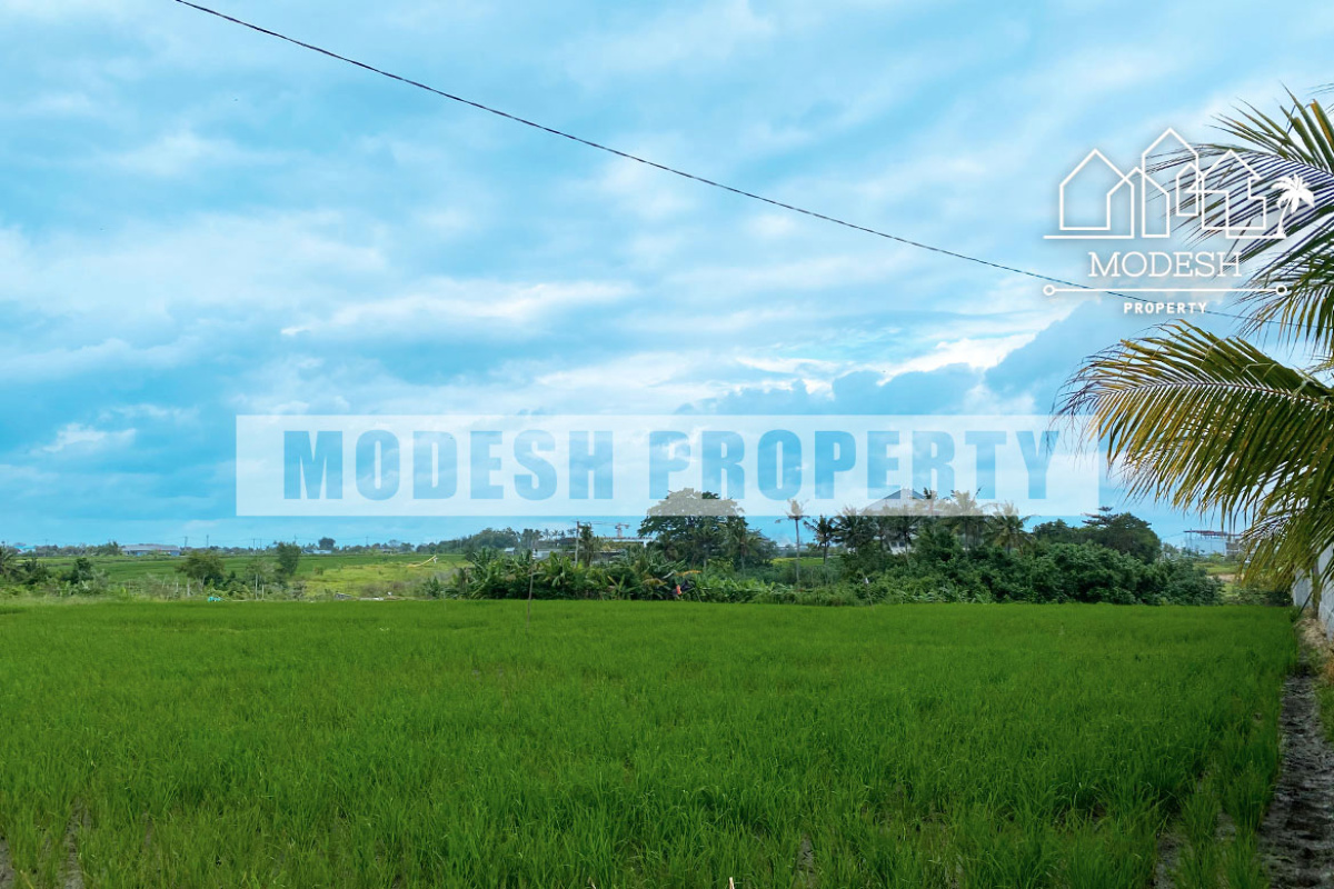 Land,Leasehold Sale,1354