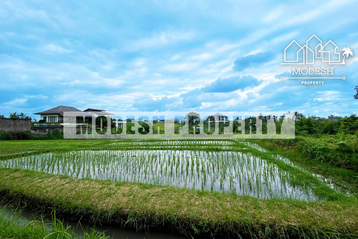 Land,Leasehold Sale,1354
