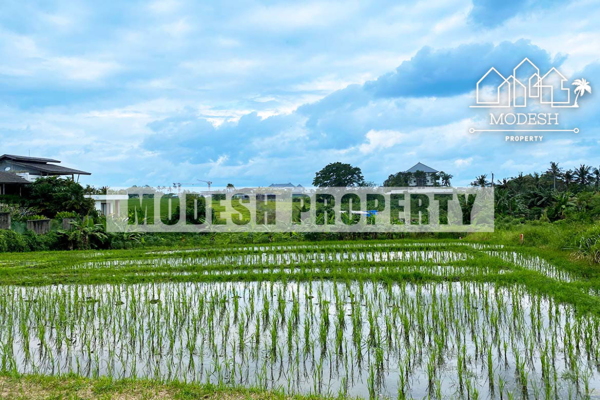 Land,Leasehold Sale,1354