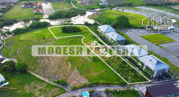 perenenan, ,Land,Freehold Sale,perenenan,1355
