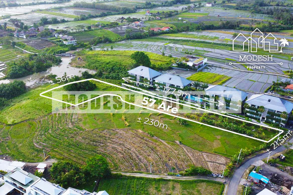 perenenan, ,Land,Freehold Sale,perenenan,1355