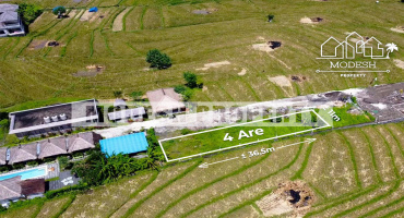 pererenan, ,Land,Leasehold Sale,pererenan,1364