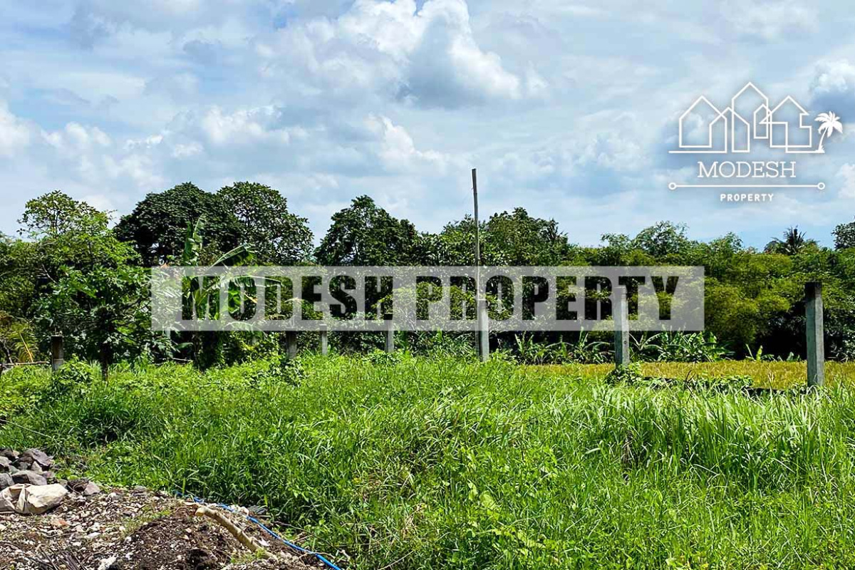 pererenan, ,Land,Leasehold Sale,pererenan,1364