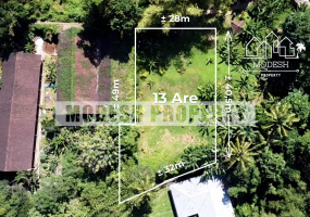 Land,Freehold Sale,1365