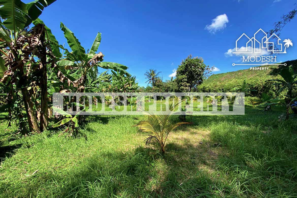 Land,Freehold Sale,1365