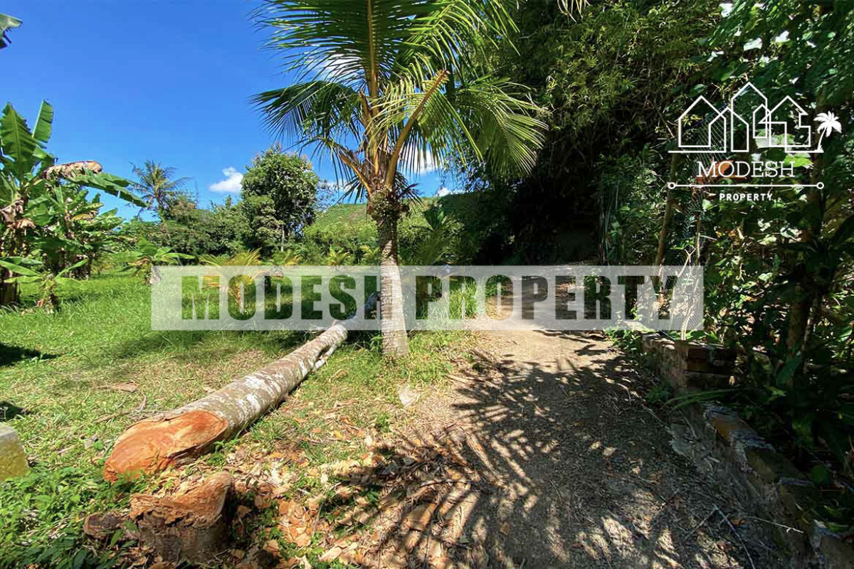 Land,Freehold Sale,1365
