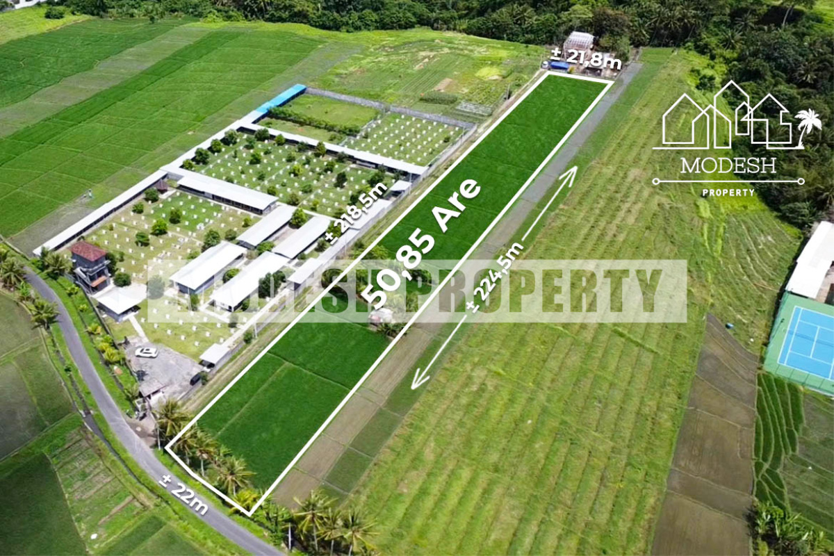 Land,Leasehold Sale,1367