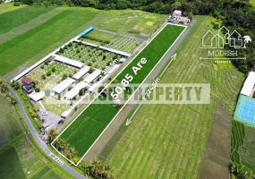 Land,Leasehold Sale,1367