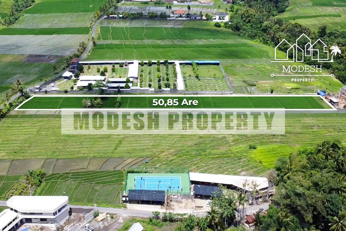 Land,Leasehold Sale,1367