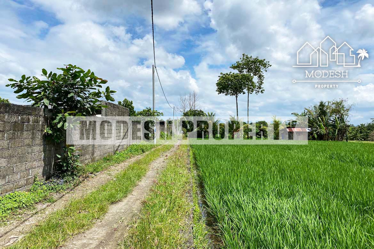 Land,Leasehold Sale,1367