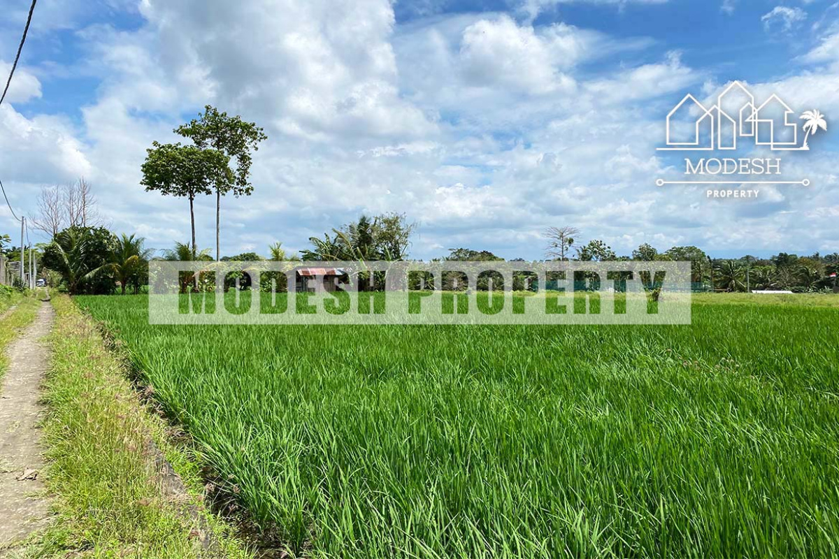 Land,Leasehold Sale,1367