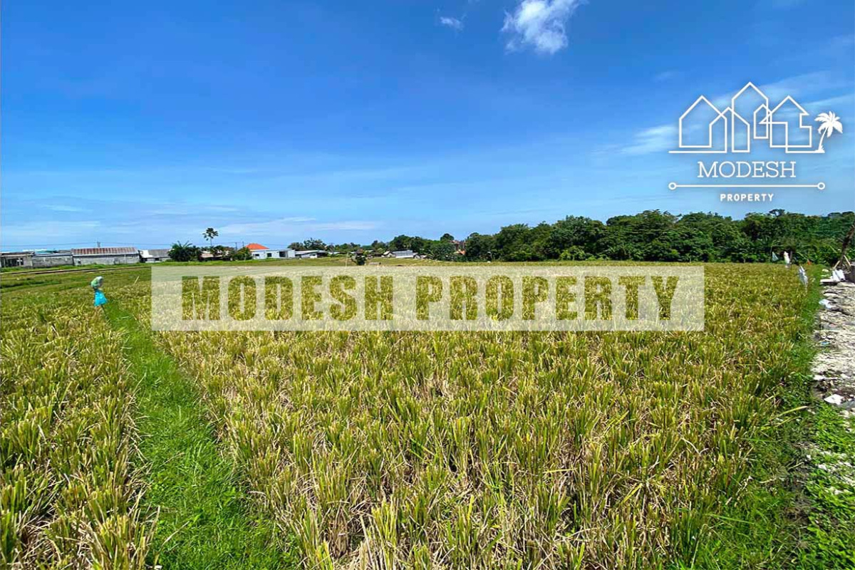 Land,Leasehold Sale,1368