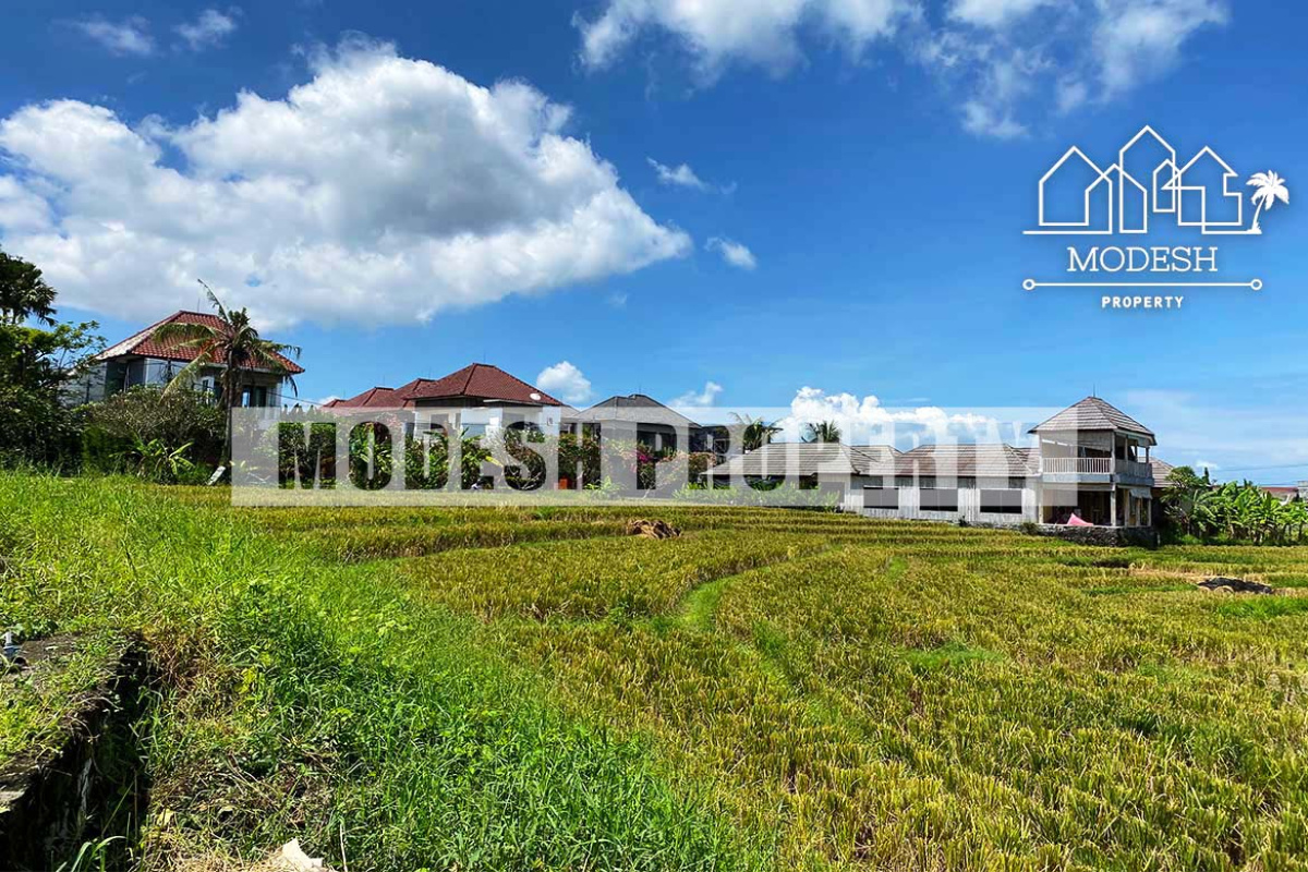 Land,Leasehold Sale,1369