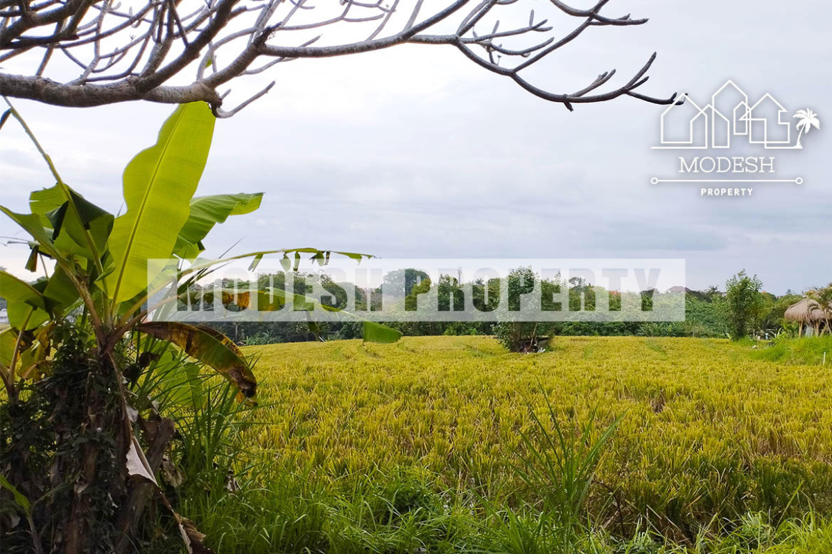 Land,Leasehold Sale,1369