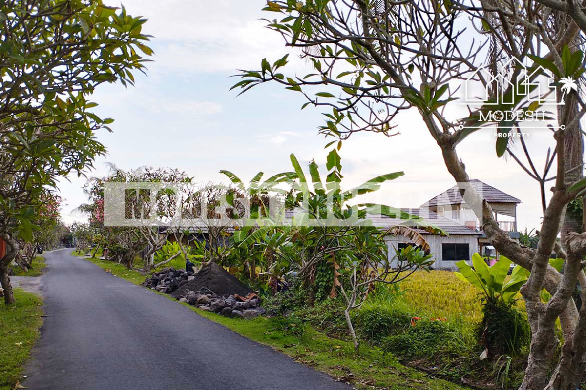 Land,Leasehold Sale,1369
