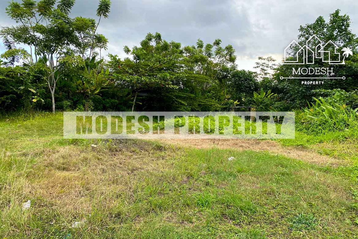Land,Leasehold Sale,1370
