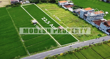 Land,Leasehold Sale,1374