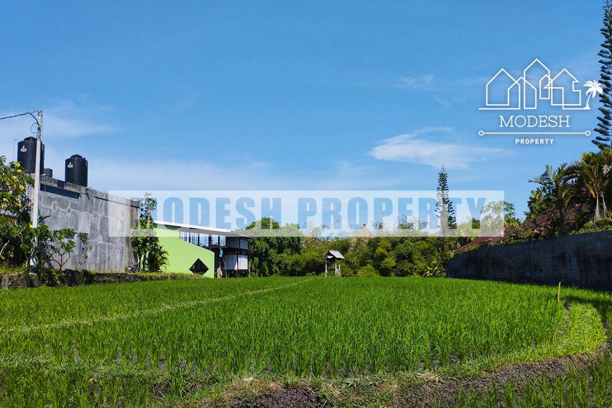 Land,Leasehold Sale,1375