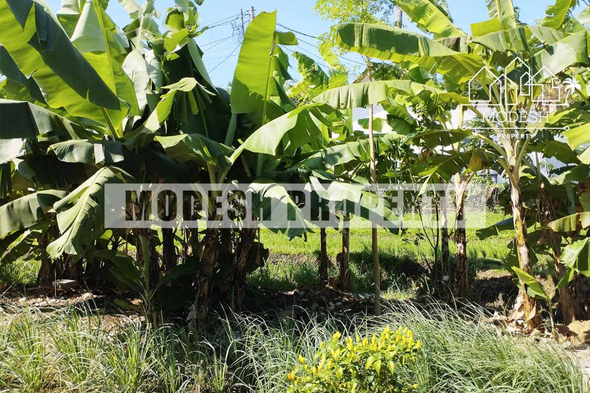 Land,Leasehold Sale,1375