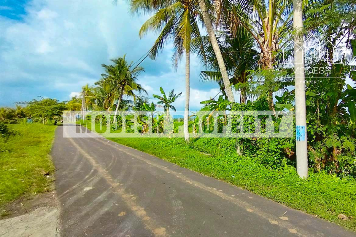 Land,Freehold Sale,1377