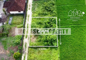 kaba-kaba, ,Land,Freehold Sale,kaba-kaba,1378