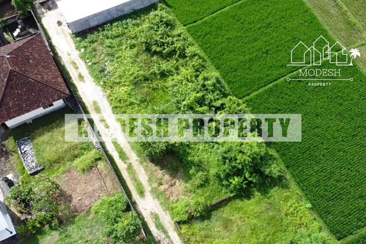 kaba-kaba, ,Land,Freehold Sale,kaba-kaba,1378