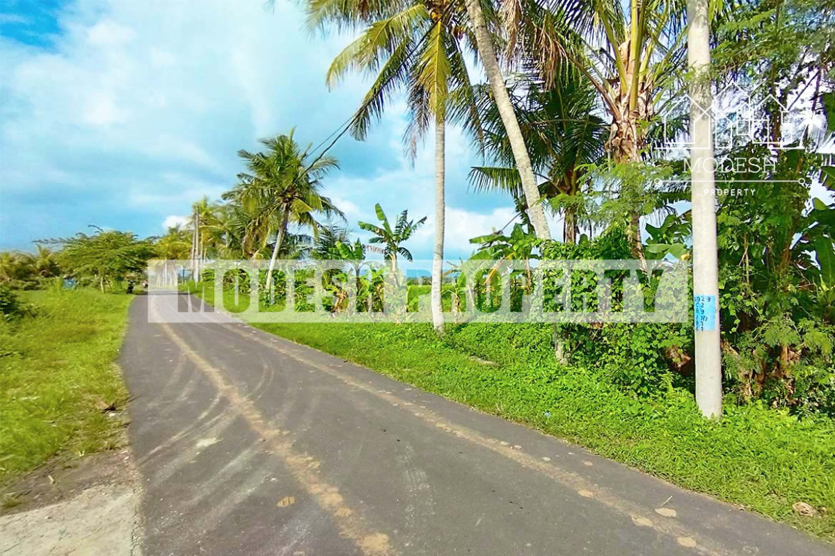 kaba-kaba, ,Land,Freehold Sale,kaba-kaba,1378