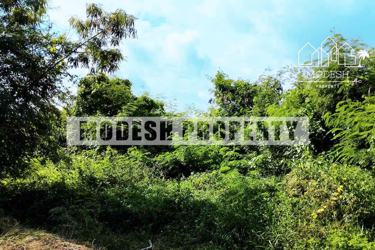 kaba-kaba, ,Land,Freehold Sale,kaba-kaba,1378