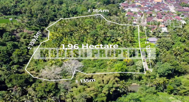 Land,Freehold Sale,1384