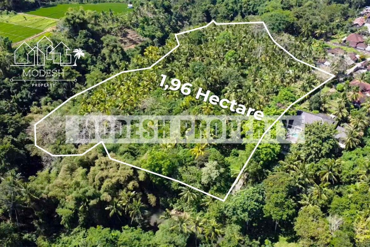 Land,Freehold Sale,1384