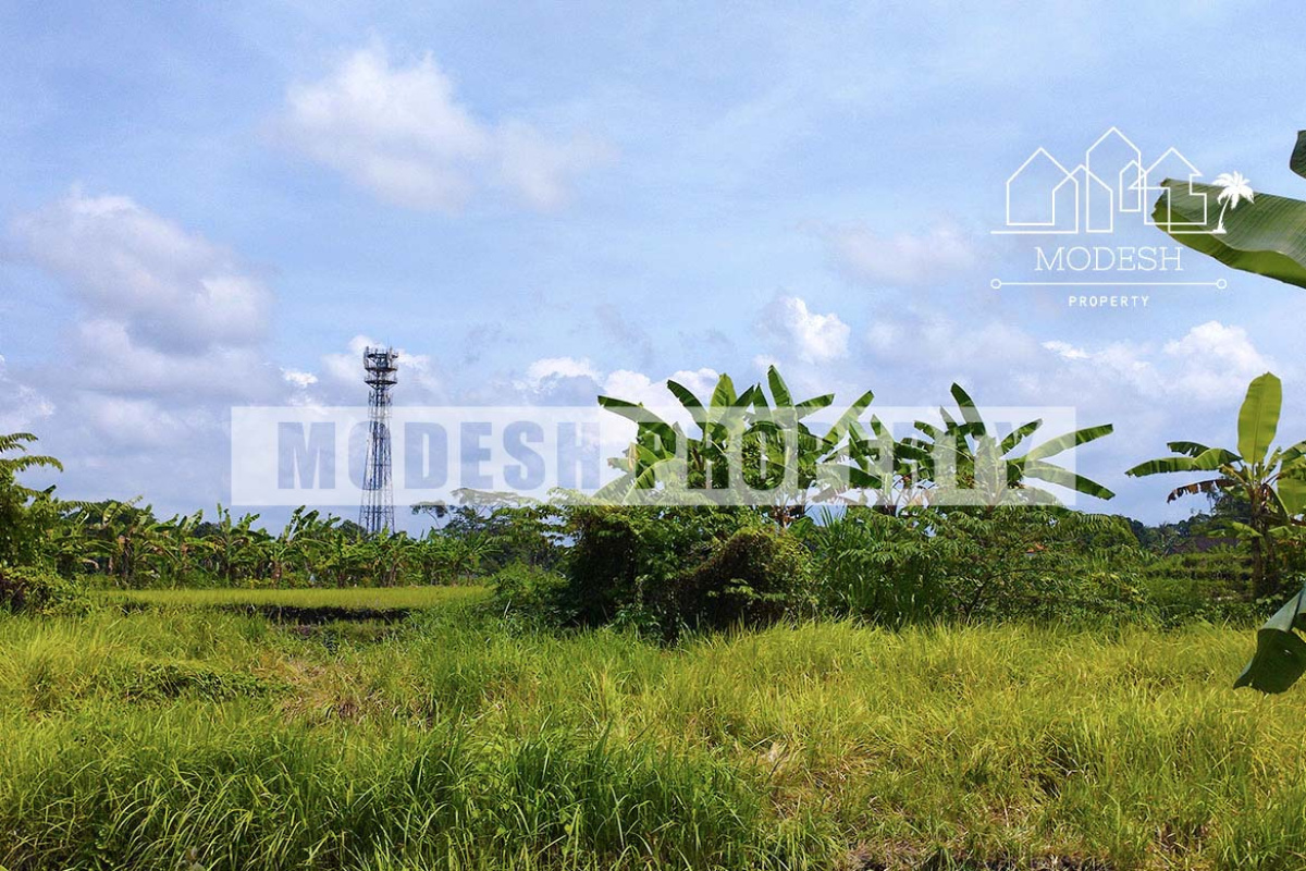 Land,Leasehold Sale,1399