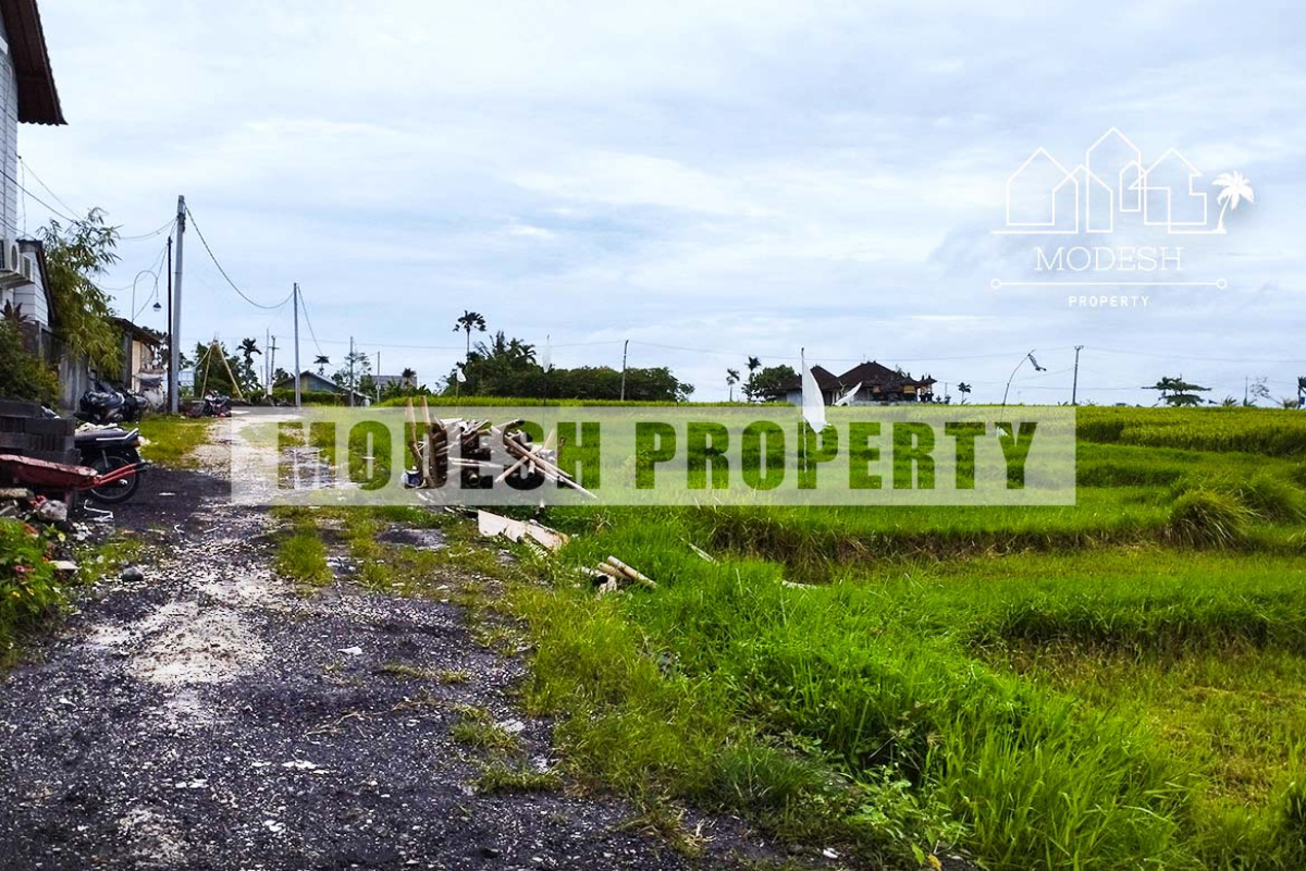 Land,Freehold Sale,1403