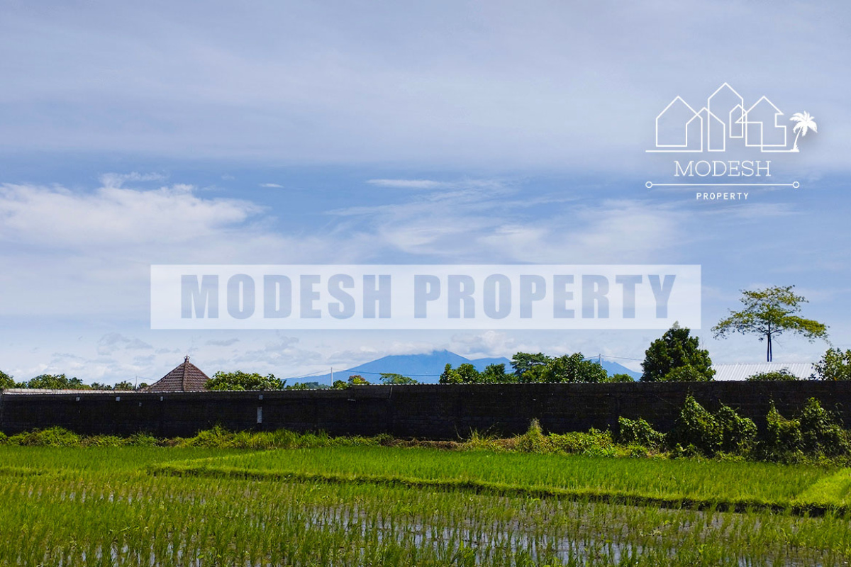 Land,Leasehold Sale,1404