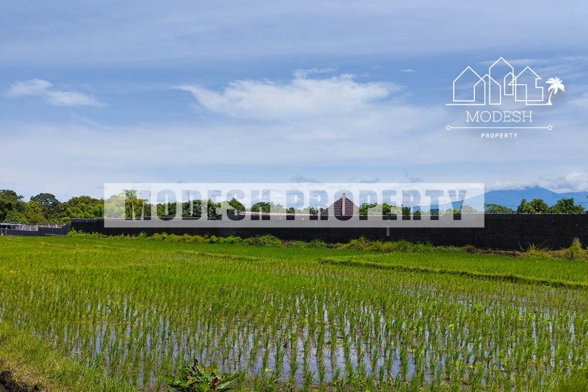 Land,Leasehold Sale,1404