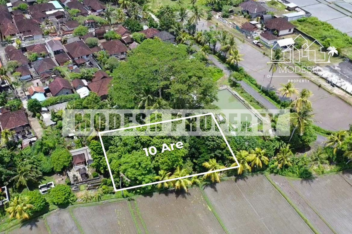 Land,Leasehold Sale,1406