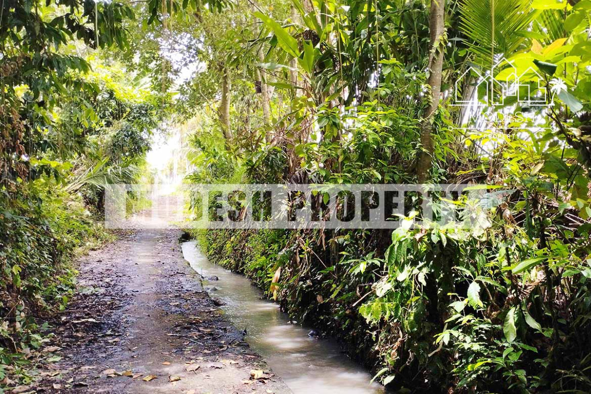 Land,Leasehold Sale,1406