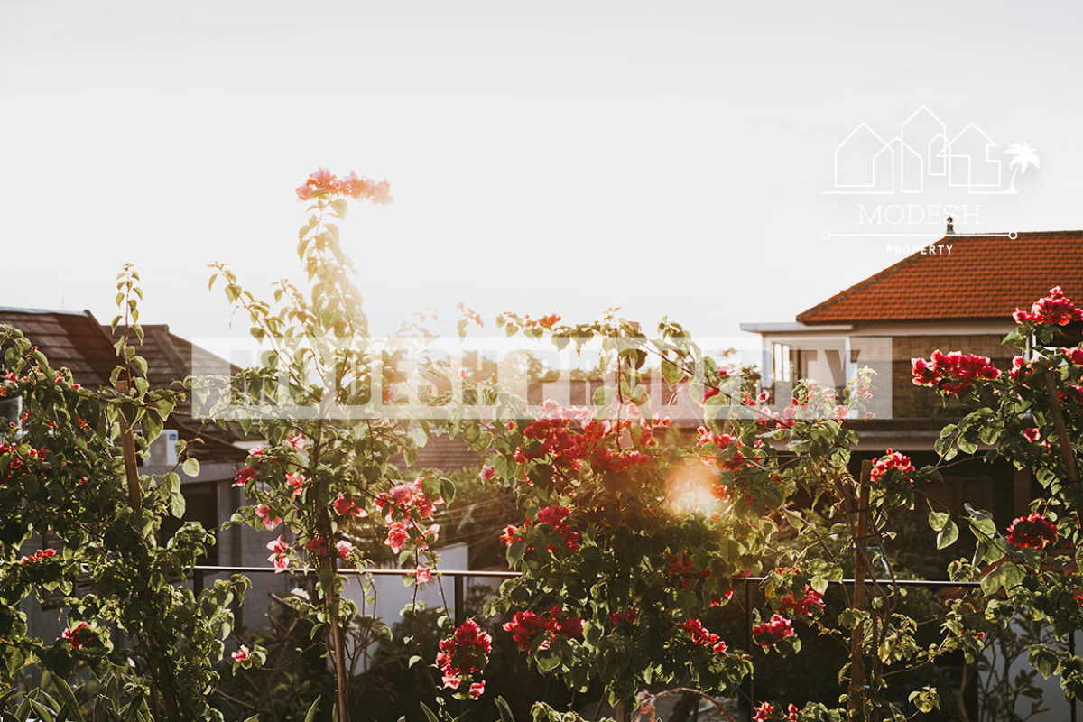 4 Bedrooms Bedrooms, ,4 BathroomsBathrooms,Villa,Leasehold Sale,1407