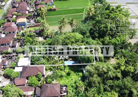 Land,Leasehold Sale,1409
