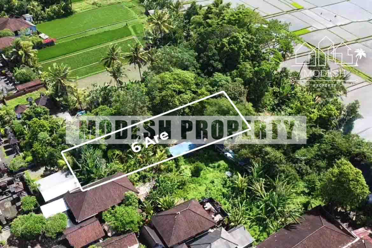 Land,Leasehold Sale,1409