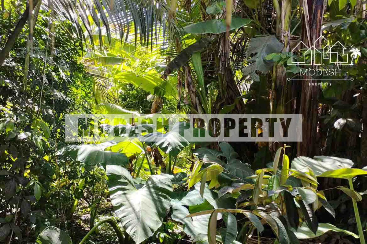Land,Leasehold Sale,1409