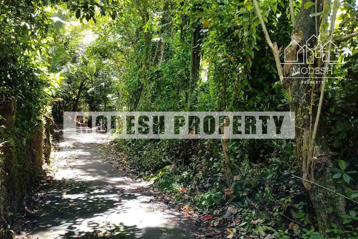 Land,Leasehold Sale,1409